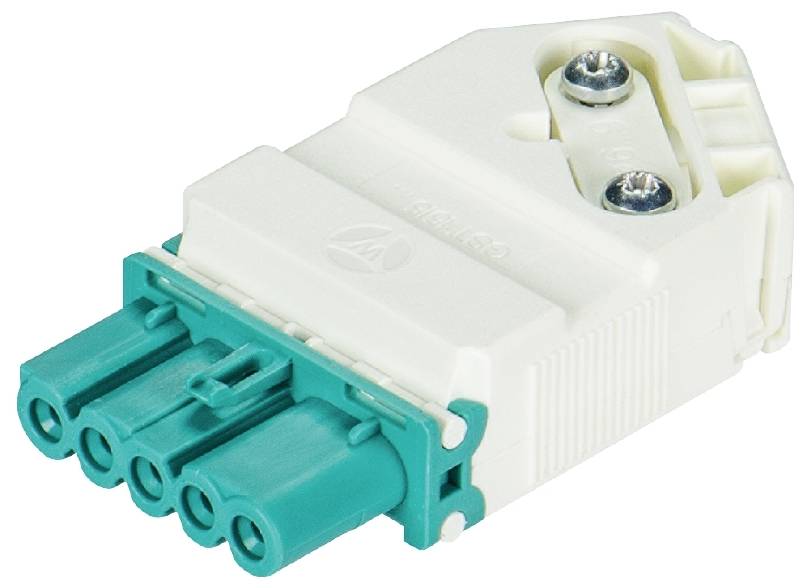 Ein weißer und türkisfarbener elektrischer Steckverbinder mit fünf Anschlusspunkten und zwei sichtbaren Schrauben an der Oberseite.