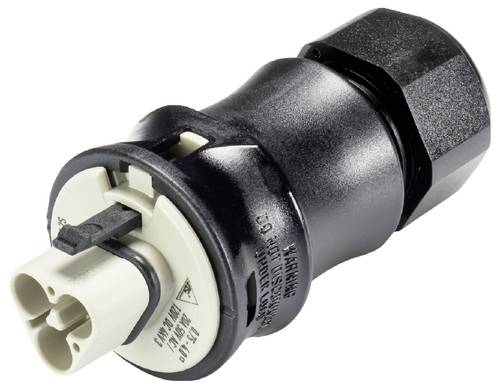 Wieland Electric 96.022.4950.8 Steckverbinder
