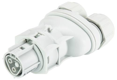 Wieland Electric 96.021.4253.0 Steckverbinder