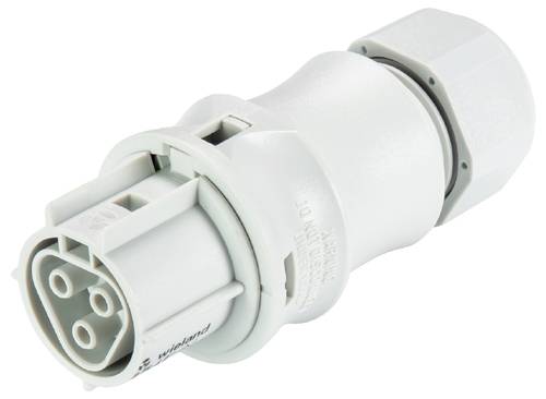 Wieland Electric 96.031.4153.0 Steckverbinder