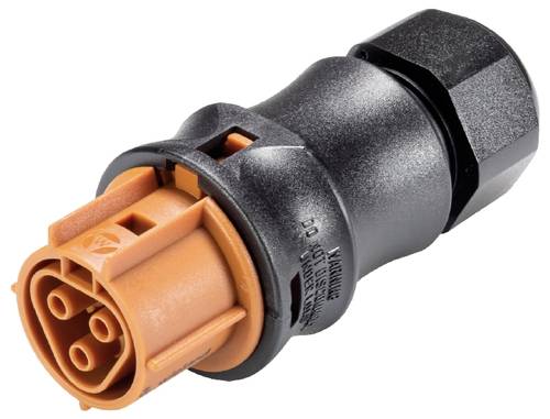 Wieland Electric 96.031.0051.4 Steckverbinder