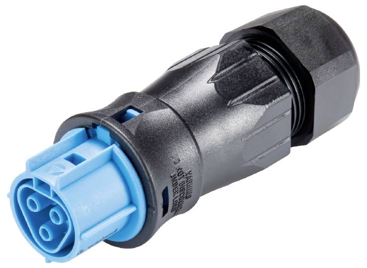 Wieland Electric 96.031.4553.9 Steckverbinder