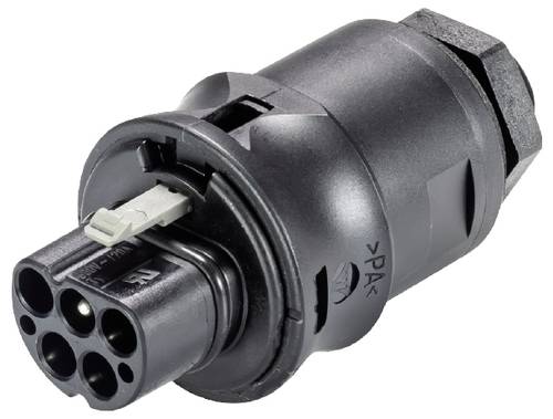 Wieland Electric 96.042.6153.1 Geräteanschluss