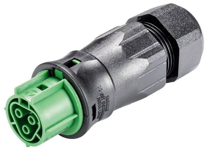 Wieland Electric 96.031.4555.7 Steckverbinder