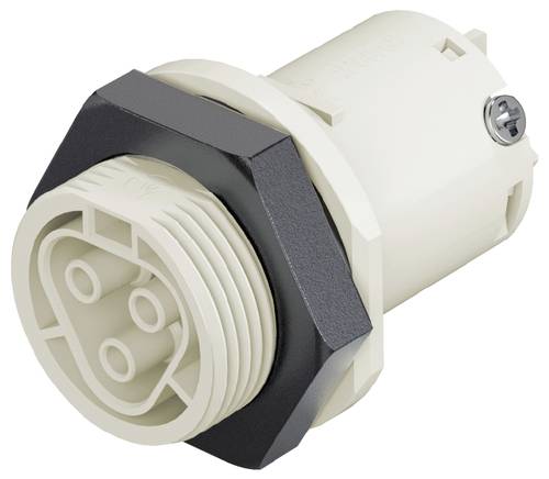 Wieland Electric 96.031.5050.8 Geräteanschluss