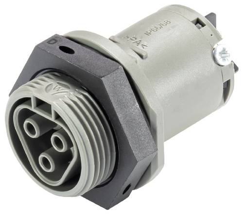 Wieland Electric 96.031.5054.3 Geräteanschluss