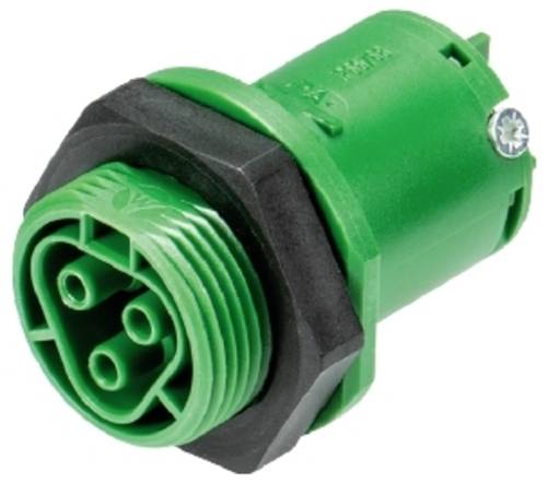 Wieland Electric 96.031.5055.7 Geräteanschluss