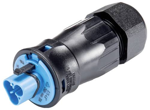 Wieland Electric 96.032.4553.9 Steckverbinder