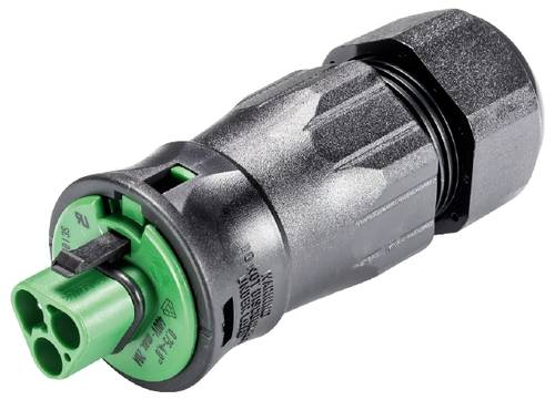 Wieland Electric 96.032.4555.7 Steckverbinder