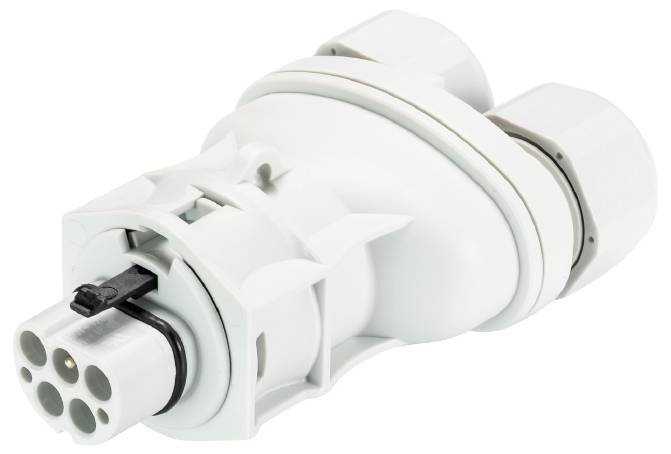 Wieland Electric 96.052.4253.0 Steckverbinder