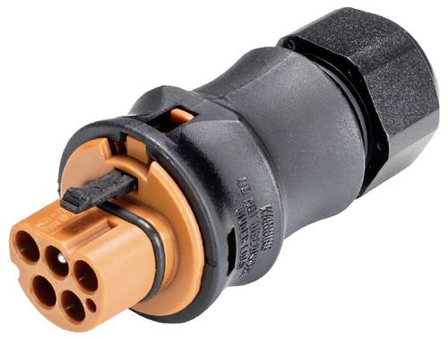 Wieland Electric 96.042.4051.4 Steckverbinder