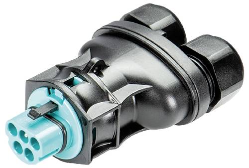 Wieland Electric 96.052.4253.6 Steckverbinder