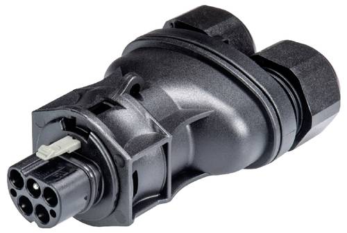 Wieland Electric 96.052.4353.1 Steckverbinder