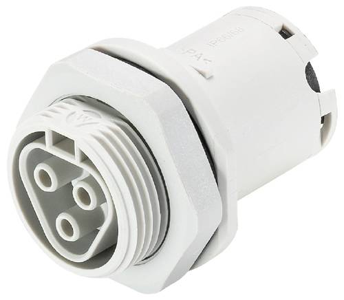 Wieland Electric 96.131.1053.0 Geräteanschluss