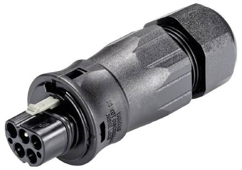 Wieland Electric 96.042.4553.1 Steckverbinder
