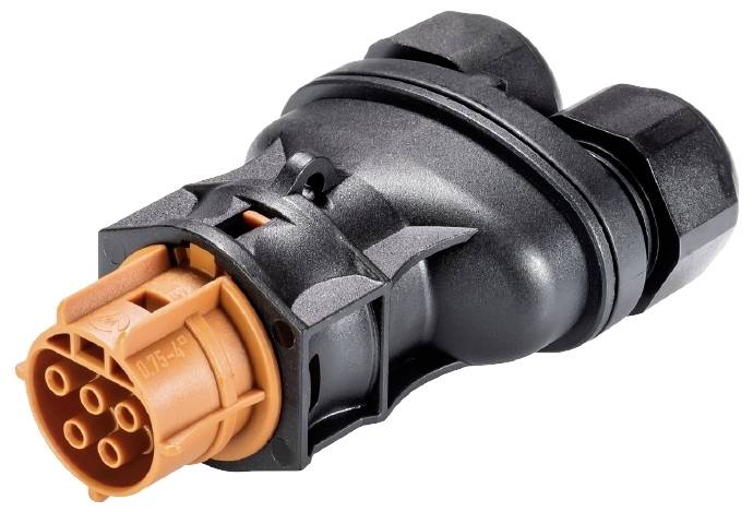 Wieland Electric 96.051.4251.4 Steckverbinder