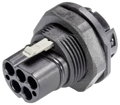 Wieland Electric 96.152.1053.1 Geräteanschluss
