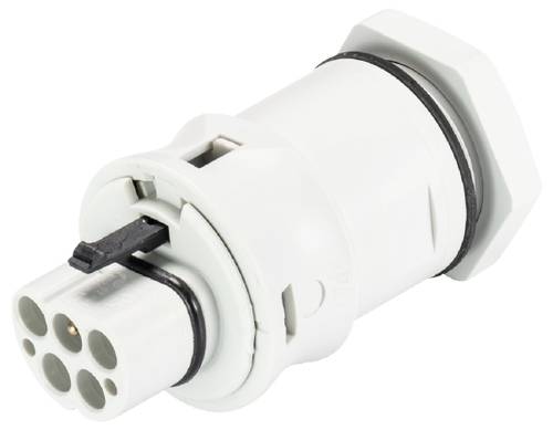 Wieland Electric 96.152.2053.0 Geräteanschluss
