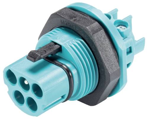 Wieland Electric 96.052.5053.6 Geräteanschluss