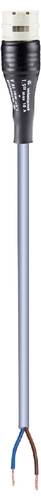 Wieland Electric 96.222.2097.8 Anschlussleitung Schwarz