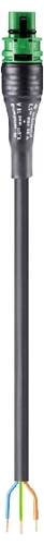 Wieland Electric 96.233.20C6.7 Anschlussleitung Schwarz