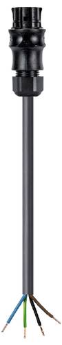 Wieland Electric 96.443.5033.1 Anschlussleitung Schwarz
