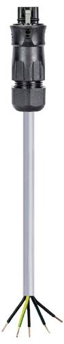 Wieland Electric 96.453.1084.1 Anschlussleitung Schwarz
