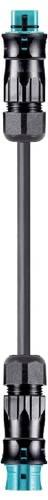 Wieland Electric 96.453.6050.6 Verbindungsleitung Schwarz