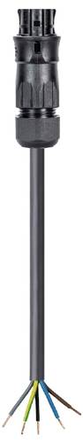 Wieland Electric 96.453.4033.1 Anschlussleitung Schwarz