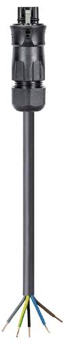 Wieland Electric 96.454.1034.1 Anschlussleitung Schwarz