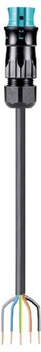 Wieland Electric 96.454.8003.6 Anschlussleitung Schwarz