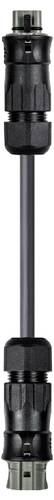 Wieland Electric 96.854.1000.3 Verbindungsleitung Schwarz