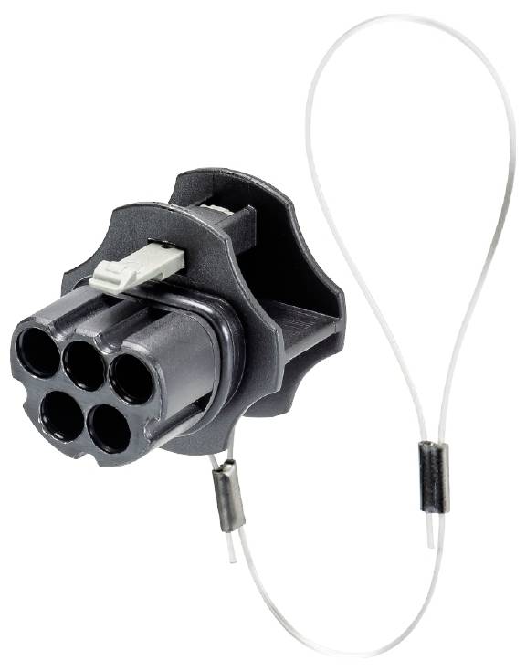 Wieland Electric 99.530.0000.7 Verschlussstück für Buchsen