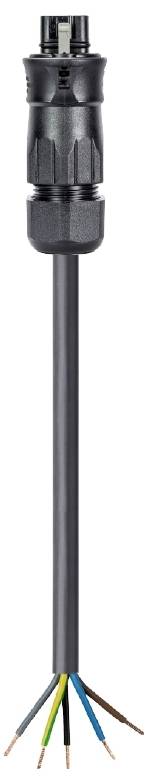 Wieland Electric 96.454.8034.1 Anschlussleitung Schwarz