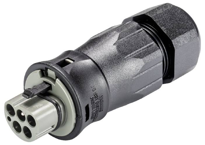 Wieland Electric 99.576.0000.7 Steckverbinder