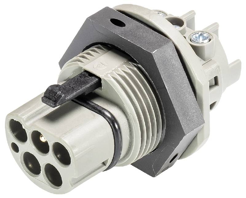 Wieland Electric 99.578.0000.7 Geräteanschluss