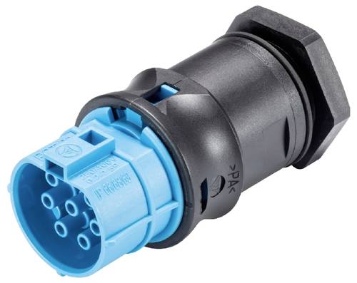Wieland Electric 9L.071.6253.9 Geräteanschluss