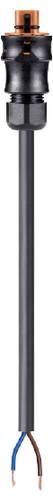 Wieland Electric 96.522.2008.4 Anschlussleitung Schwarz