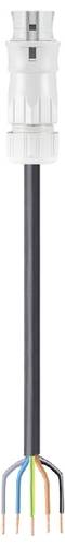 Wieland Electric 96.454.4033.0 Anschlussleitung