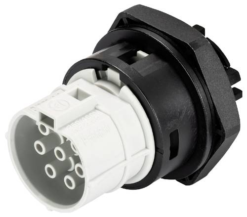 Wieland Electric 99.657.0000.7 Geräteanschluss