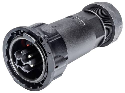 Wieland Electric 97.042.4253.1 Steckverbinder
