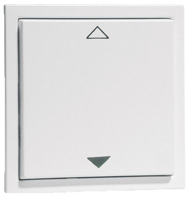 Wieland Electric F0.000.0025.2 Funktaster