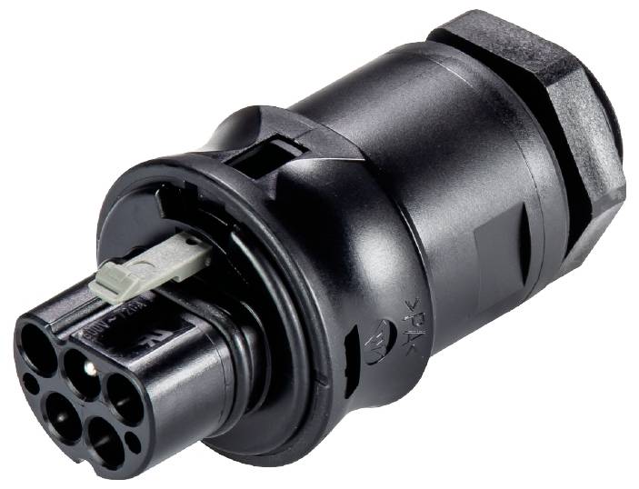 Wieland Electric X6.042.6053.1 Geräteanschluss