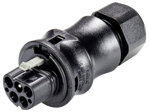 Wieland Electric X6.042.4153.1 Steckverbinder