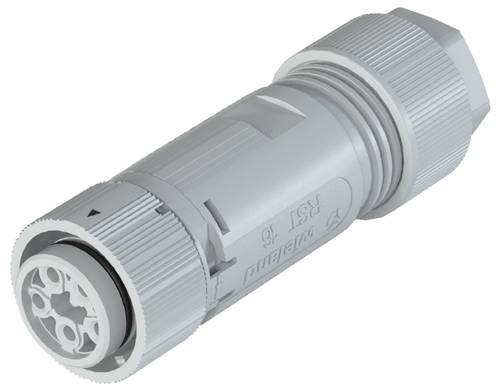 Wieland Electric 46.051.4153.0 Steckverbinder