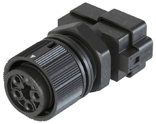 Wieland Electric 46.051.M0L0.1 Geräteanschluss