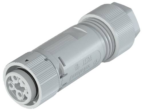 Wieland Electric 46.051.4154.0 Steckverbinder