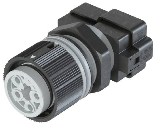 Wieland Electric 46.051.M0L1.0 Geräteanschluss