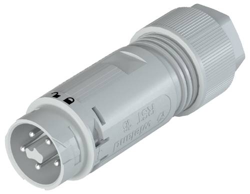 Wieland Electric 46.052.4153.0 Steckverbinder