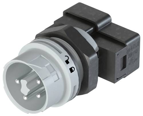 Wieland Electric 46.052.M0L1.0 Geräteanschluss